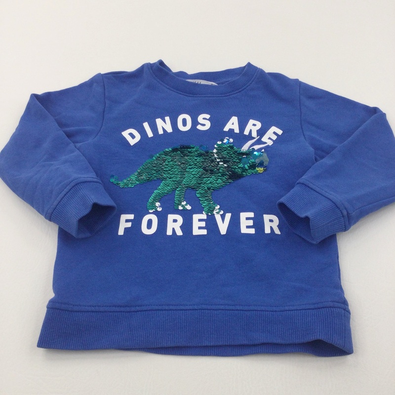 'Dinosaurs Are Forever' Sequin Flip Blue Sweatshirt - Boys 3-4 Years