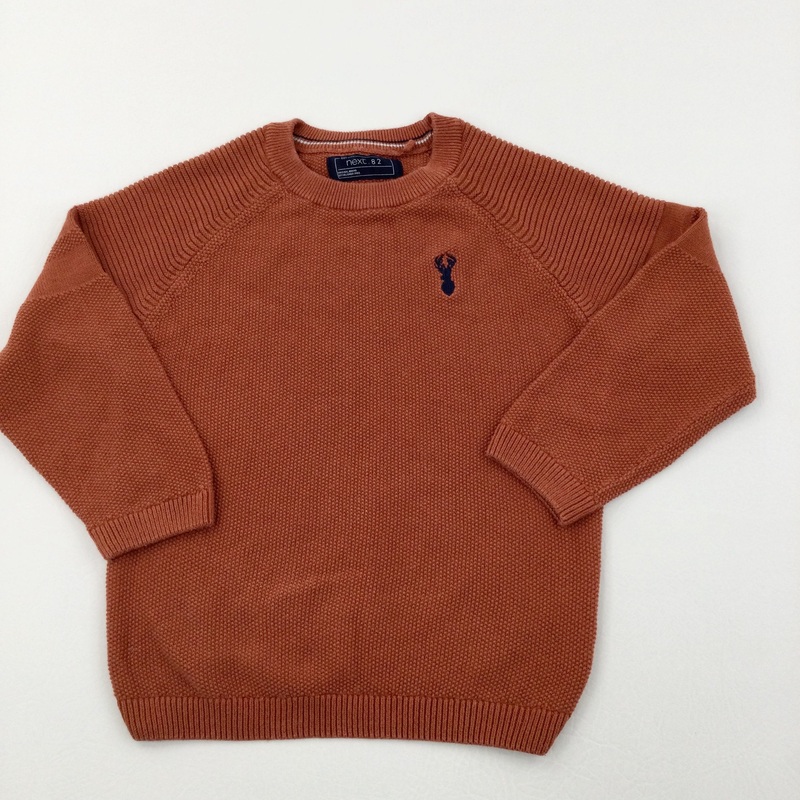 Stag Motif Burny Orange Knitted Jumper - Boys 4 Years