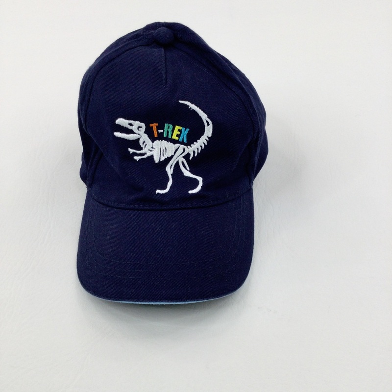 'T-Rex' Dinosaur Blue Cap - Boys 3-4 Years