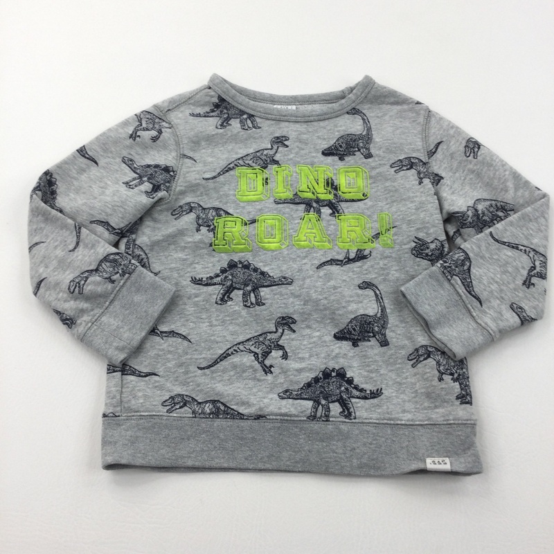 'Dino Roar' Dinosaurs Grey Sweatshirt - Boys 4 Years